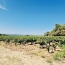  Annonces BARJAC : Domaines / Propriétés | GOUDARGUES (30630) | 463 m2 | 1 395 000 € 