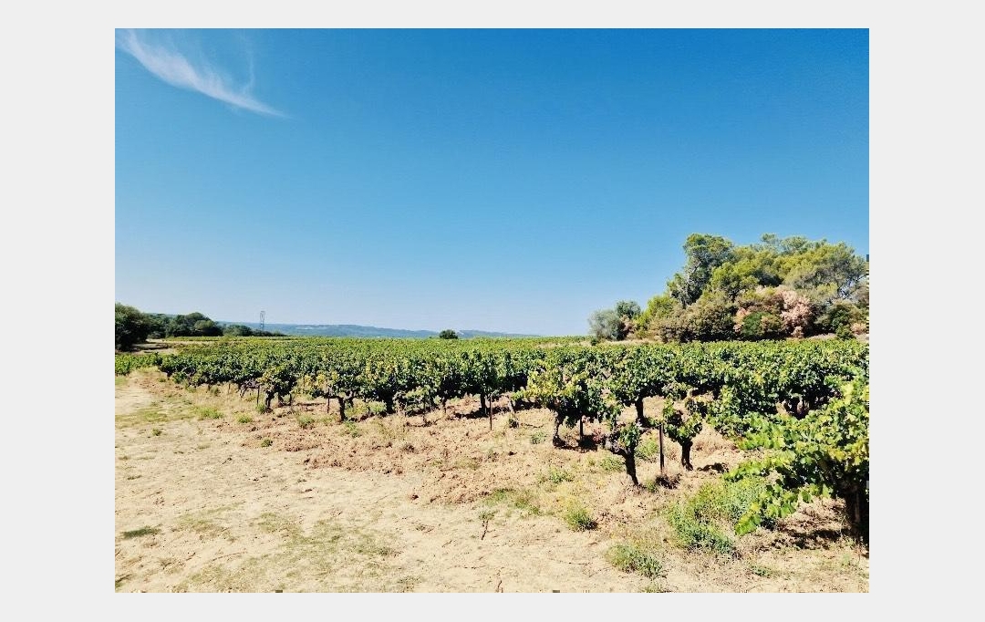 Annonces BARJAC : Domaines / Propriétés | GOUDARGUES (30630) | 463 m2 | 1 395 000 € 